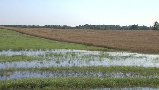 Daugavpils novada zemnieki var pieprasīt kompensāciju zaudējumiem, ko izraisīja lietavas