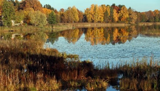 Astronomiskais rudens sākas ar atvasaru