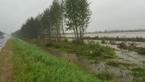 Daugavpils novada zemnieki uz kompensācijām necer