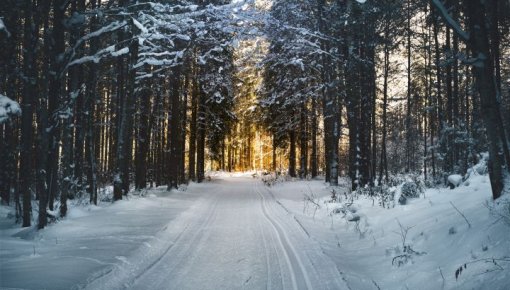 Ceturtdien snigs maz, gaisa temperatūra būs tuvu nulles atzīmei