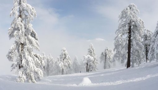 Nākamnedēļ pakāpeniski kļūs vēsāks, būs daudz nokrišņu