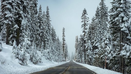 Uz reģionālā autoceļa Kalnciems-Kūdra 2019. gadā plānoti remontdarbi