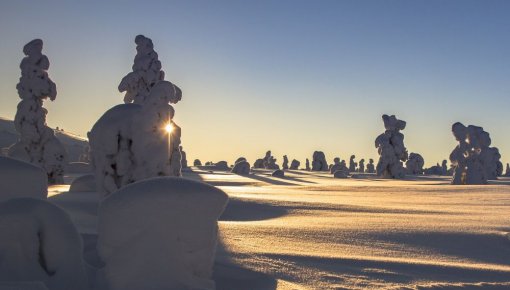 Biezākā sniega sega valstī - 27 centimetri Alūksnē