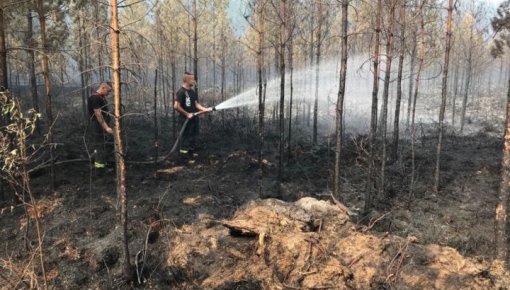 Jau trešo dienu turpina dzēst meža un kūdras ugunsgrēku Valdgales pagastā