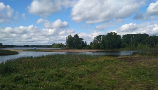 Peldēties Šuņezera pludmalē ir aizliegts (VIDEO)