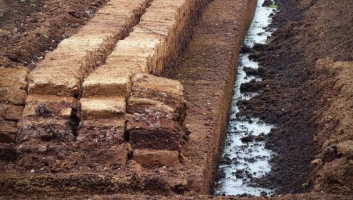 Latvijā 36% no visām kūdras ieguves ietekmētajām teritorijām ir degradēti kūdrāji