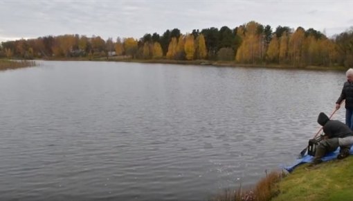 Daugavpils ezeros ielaida karpu mazuļus (VIDEO)