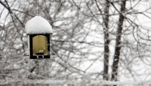 Sestdien ilgstoši līs, austrumu novados gaidāma atkala un sniegs