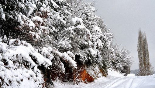 Lielākais sals un dziļākais sniegs gaidāms ziemas otrajā pusē