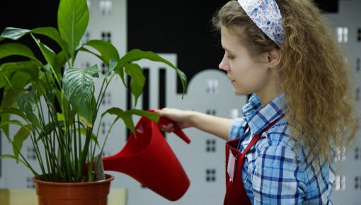 Dokumentu iesniegšana uz jauniešu vasaras nodarbinātības programmu (13-14 gadi)