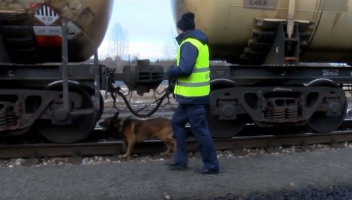 Latvijas un Lietuvas policija sadarbojas kinoloģijā (VIDEO)