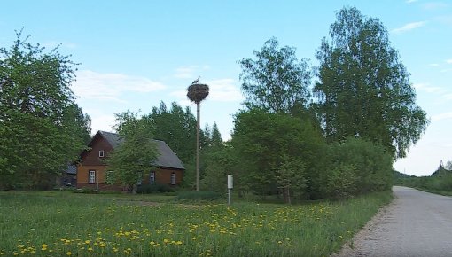 Preiļu novadā veidos melnā stārķa mikroliegumu (VIDEO)