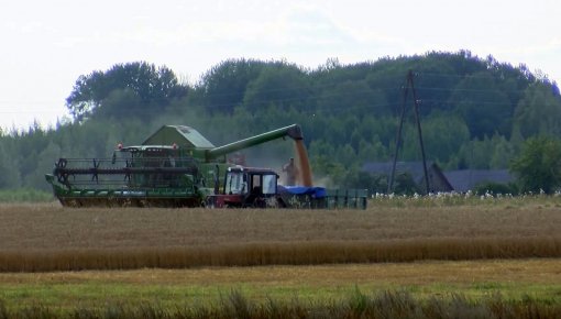 Latgalē raža un graudu kvalitāte – laba (VIDEO)