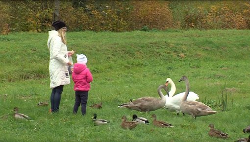 Daugavpils 100+ sekundēs (23.10.2019., VIDEO)