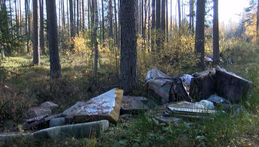 Mežu piegružošana – grūti izskaužama (VIDEO)