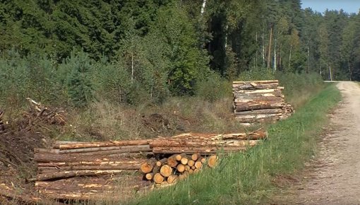 "Latvijas Valsts Meži": struktūra un darba plānošana (VIDEO)