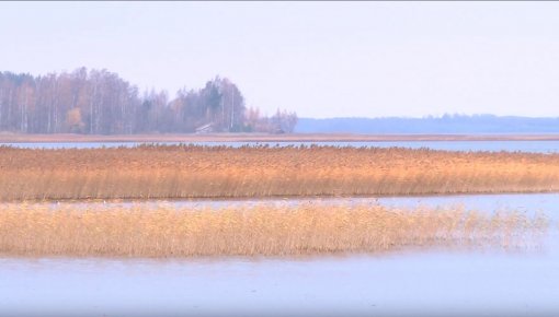 Ludza un Sebeža sadarbojas dabas aizsardzībā (VIDEO)