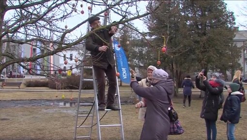 Otrajās Lieldienās Daugavpilī uzziedēs Lieldienu koks (VIDEO)