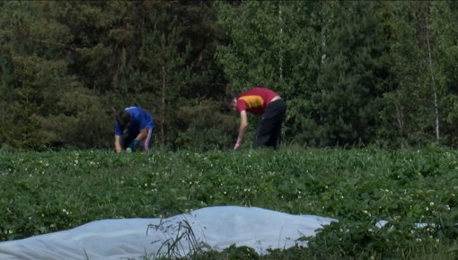 Darbiniekiem svarīgs darba devēja godīgums (VIDEO)