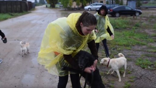 Daugavpils 100+ sekundēs (07.10.2020., VIDEO)