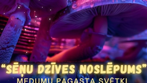 Medumu pagasta svētki būs veltīti sēnēm