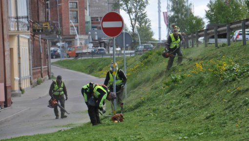 Komunālās saimniecības pārvalde informē par plānotajiem pļaušanas darbiem Daugavpils apkaimēs jūlijā