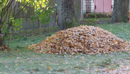“Zaļās masas” akcijā savāktas vairāk nekā 200 tonnas bioloģiski noārdāmo atkritumu