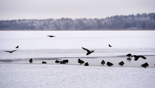 Daugavpilī aizliegts atrasties uz ūdenstilpju ledus
