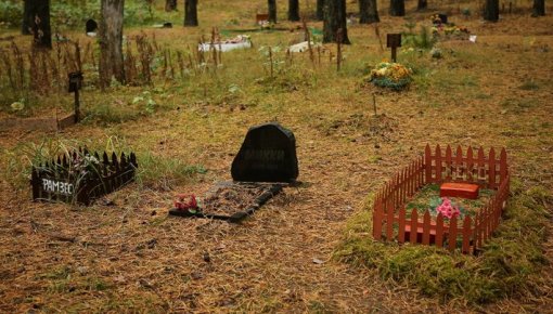 Daugavpils pašvaldība izvērtē, kur varētu izveidot dzīvnieku kapsētu