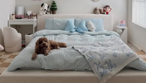 Rīta rutīna: gultas saklāšana – noderīgi vai kaitīgi?