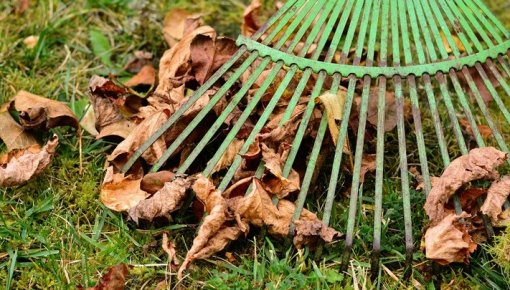 Biedrība “Pēdas LV” aicina izvirzīt aktīvākos talkotājus balvai “Talkas cilts”