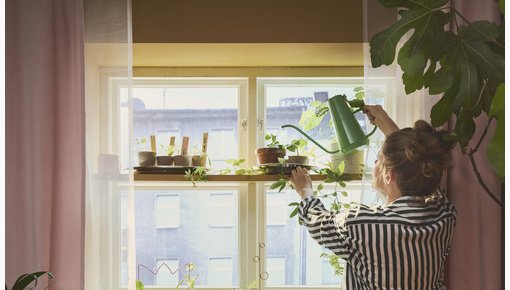 No palodzēm līdz plauktiem – idejas pavasara stādu integrēšanai interjerā