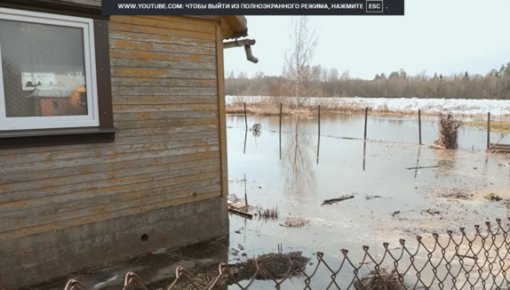 Ūdens ieplūst dārza māju teritorijās: Jēkabpils novadā saasinās situācija Daugavā