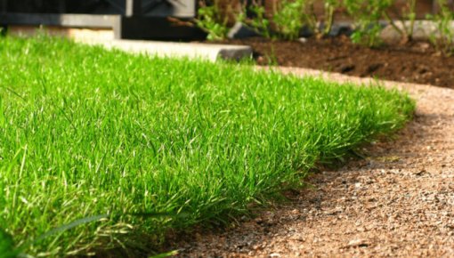 Pavasara kļūda, kas var sabojāt zālienu visai sezonai