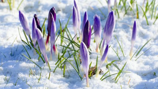 Aukstums atgriežas - gaidāmi nokrišņi, vējš un sals naktīs