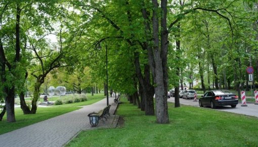 Dubrovina parka apkārtnē vairākas dienas būs spēkā satiksmes ierobežojumi