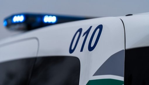 Daugavpils pilsētas pašvaldības policijas videokameras fiksējušas jauniešus, kuri naktī postīja pilsētas apstādījumus