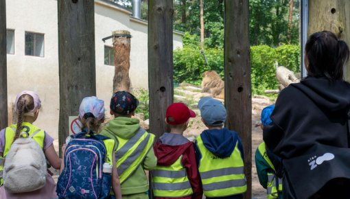 No dzīvnieku pasaules līdz sugu saglabāšanai - Rīga ZOO aicina uz izzinošām ekskursijām