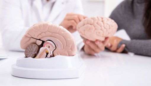 Neliela sauja ikdienā? Pētījumā riekstu lietošana saistīta ar labākiem atmiņas rādītājiem
