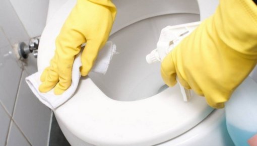 Sāls tualetes podā uz nakti - vai šis populārais triks tiešām darbojas?