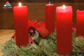 Daugavpils pilsētas domē parādījās egle (video)