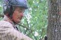 Arboristi - kas tie tādi un ar ko nodarbojas? (video)