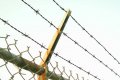 Ungārija sāk veidot dzeloņstiepļu barjeru gar Horvātijas robežu