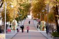 Daugavpils pašvaldība sveic seniorus Starptautiskajā veco ļaužu dienā!