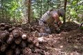 Latvijā sestdien sāksies militārās mācības "Detonators"