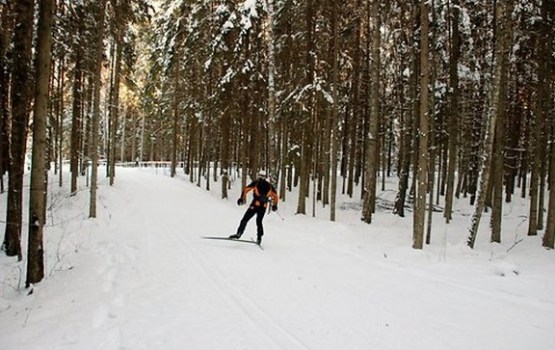 Jaungada brīvdienas būs aukstas