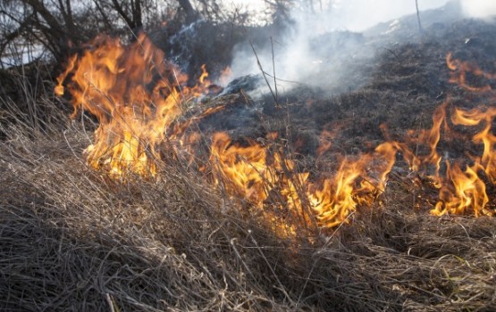 Glābēji dzēsuši vienu kūlas ugunsgrēku, šogad notikuši 2650