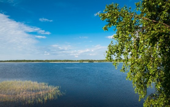 Ūdens temperatūra jūrā no +9 līdz +19 grādiem, upēs – līdz +23 grādiem