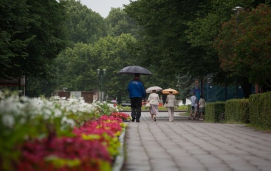 Oranžais brīdinājums: sinoptiķi prognozē stipru lietu tuvākajās stundās