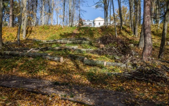 Krāslavā turpinās parka rekonstrukcija